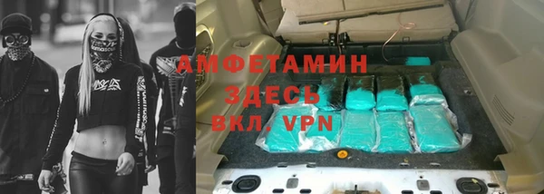 прущие грибы Володарск